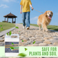 🔥 FLASH SALE! 50% OFF 🔥 Quick-Drying Sticky Landscape Adhesive – Instant Hold, Zero Mess! 🌿✨